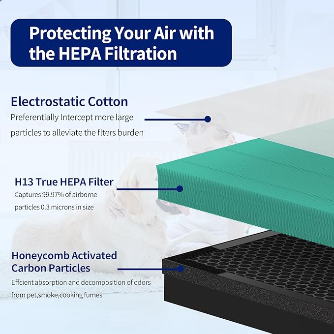 HY4866 Filters Replacement Compatible with MORENTO HY4866, WESTHEY HY4866, YIOU M1 Air Cleaner Purifier, 2 Pack H13 True HEPA Enhanced Air Filter Pet Dander Version + 4 Pack Extra Pre-filter