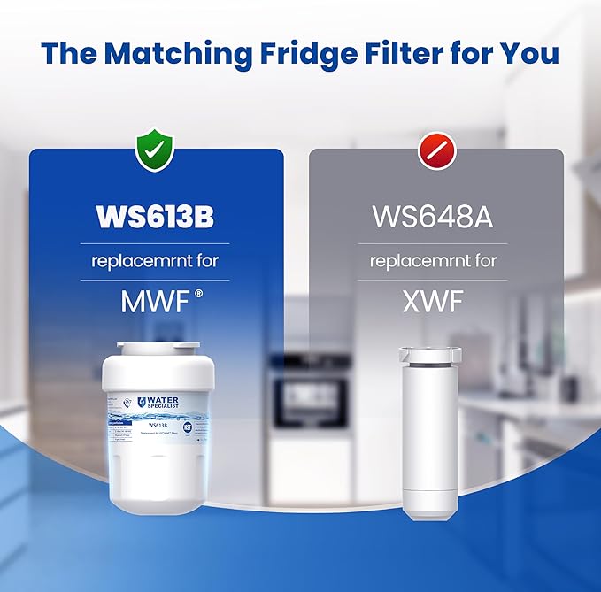 Waterspecialist WS613B Replacement for GE® MWF®, SmartWater® MWFP, MWFA, GWF, HDX FMG-1, WFC1201, GSE25GSHECSS, PC75009, RWF1060 Refrigerator Water Filter, 2 Filters