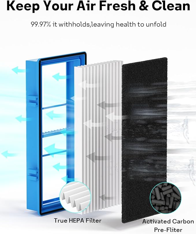 Aer1 Filter Replacement for Holmes Air Purifiers, 2 True HEPA Filters + 4 Carbon Booster Filters, HAPF30AT