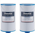 303279 Hot Tub Filter Replaces Filbur FC-2402, 5CH-37, PFF42TC-P4, 78460 and Lifesmart, AquaTerra, Fantasy, Freeflow, Simplicity, Bermuda, Aspire, Azure, Spa Filter-2 Pack
