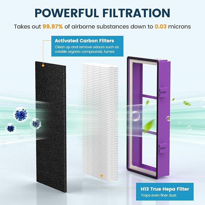 Colorfullfe Performance Plus Filter for Holmes AER1 True Filter, Replacement HAPF300AP-U4, 4 Filter and 8 Carbon Filters