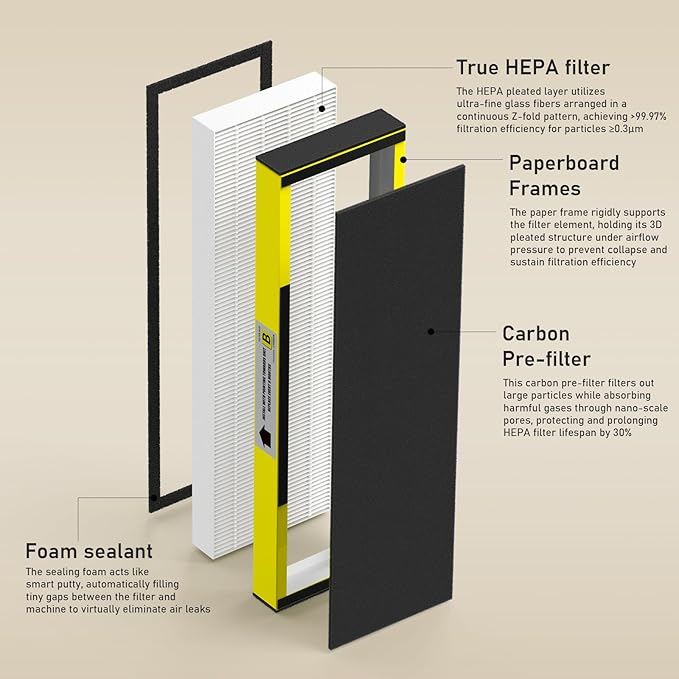 2 Packs FLT4825 HEPA Replacement Filter B Compatible with AC4825 AC4825E AC4300 AC4800 AC4900 AC4850, 2 True HEPA Filters & 6 Activated Carbon Pre-Filters