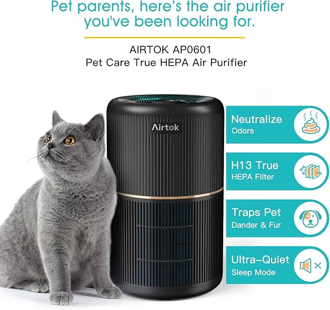 2 Pack Air Purifier for Home Bedroom, Office Desktop Air Cleaners with 12pcs Fragrance Sponge, H13 HEPA Filter, 4 Stage Filtration up to 376 sqft Black Available for California
