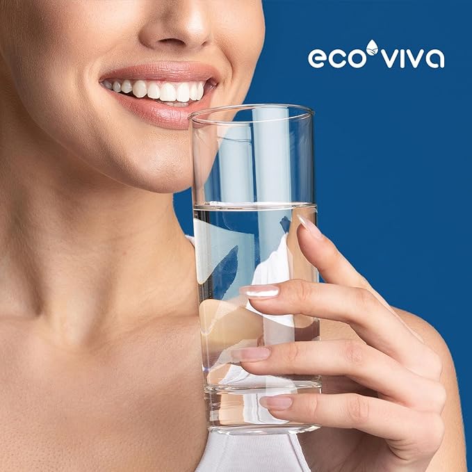 Ecoviva LT1000P Replacement Water Filter, NSF/ANSI 42, Compatible with LT1000P MDJ64844601 9980 LT1000PC ADQ74793501 LT1000 LMXS28626S LFXS26973S Refrigerator Water and LT120F Air Filter 3 Pack