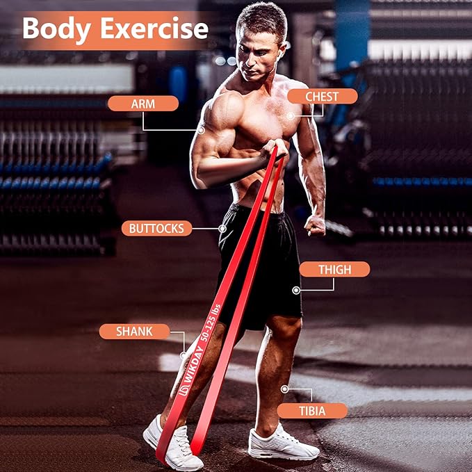 Resistance Bands for Working Out, Exercise Bands, Workout Bands, Pull Up Assistance Bands for Body Stretching Training Physical Therapy Muscle Training for Men & Women-FlexoryFit