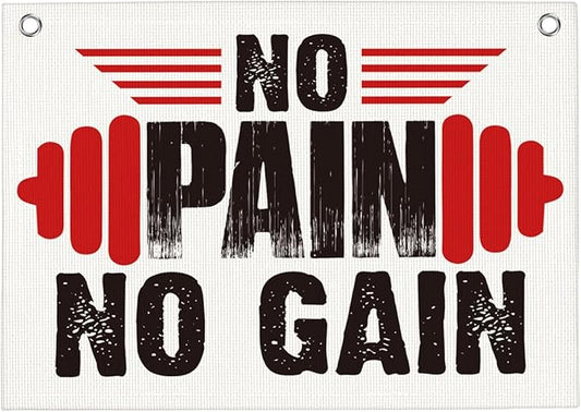 No Pain No Gain Gym Motivational Wall Art Banner Dorm Posters Gifts for Guys Men Women Gym Flag Decor for Home Gym Bedroom Workout Room 30x20 Inchs