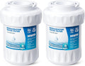 RWF0600A Water Filter, Fit for MWF GE Water Filter, GE MWF, SmartWater MWFP, MWFA, GWF, HDX FMG-1, WFC1201, RWF1060, 197D6321P006, Kenmore 9991, 2packs By AVXBYR