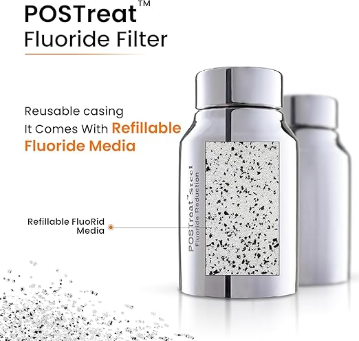 3.25 Gallons NSF Certified AISI 304 Stainless Steel Water Filter with 2 Smart Carbon (Black) Filters, 2 POSTreat Steel Fluoride Removal Elements, Free Steel Stand & Water Spigot