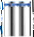 24Pcs 31" Carbon Archery Arrows, Spine Matched for Hunting & Target Practice for Compound & Recurve Bows, Durable Carbon Shaft and Removable Tips‌