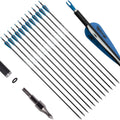 31inch Carbon Arrow Archery Targeting Practice Hunting Arrows for Compound & Recurve Bow with Removable Tips(Pack of 12)