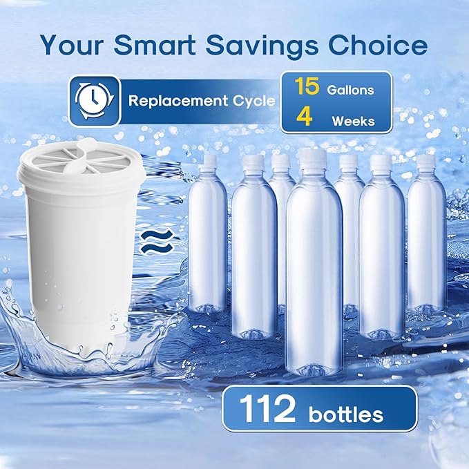 ICEPURE NSF53 6-Stage Pitcher Water Filter Replacement for Zero Pitchers ZR-017, ZR-001, ZR-003, ZR-004, ZR-006, ZR-008, ZR-012, ZR-600,ZP-010,0-TDS 2PACK