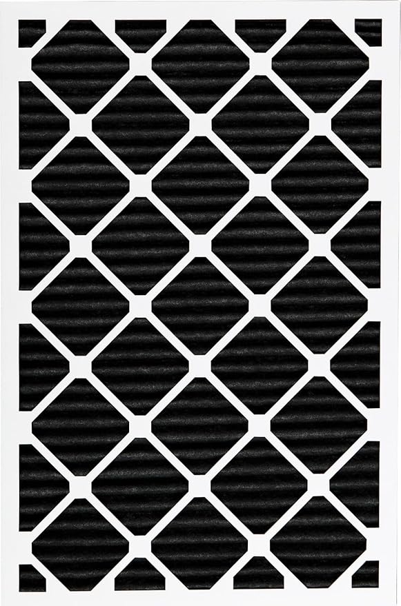 Nordic Pure 20x30x1 (19 5/8 x 29 5/8 x 3/4) Pure Carbon Pleated Odor Reduction Furnace Air Filters 2 Pack