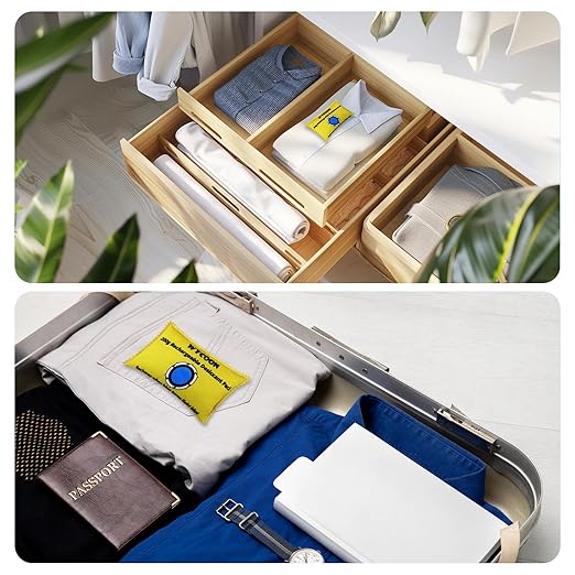 200g Rechargeable Desiccant Pack of 2, Moisture absorbers Bag, Desiccant Dehumidifier Bag, Dehumidifier for Home Closets,Gun Safe, and Cars