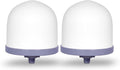 Replacement Ceramic Dome Water Filter 0.2 to 0.5 micron for Countertop & Water Coolers. First Stage of Filtration, Traps all Impurities (Set of 2)