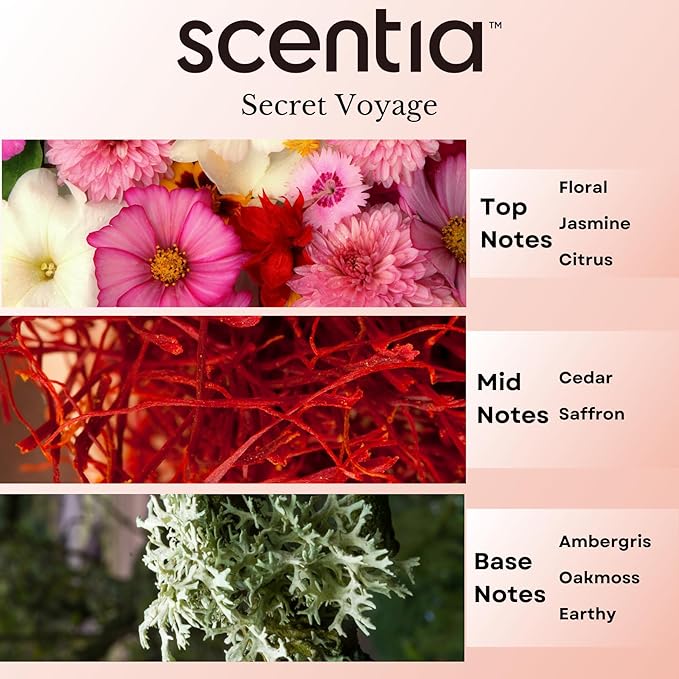 Hotel Diffuser Oil Inspired by The Baccarat Hotel Scent - 20 mL 0.67 fl oz - Essential Oil Blend of Cedar &Jasmine for Aromatherapy & humidifiers - Secret Voyage, Graduation Gift