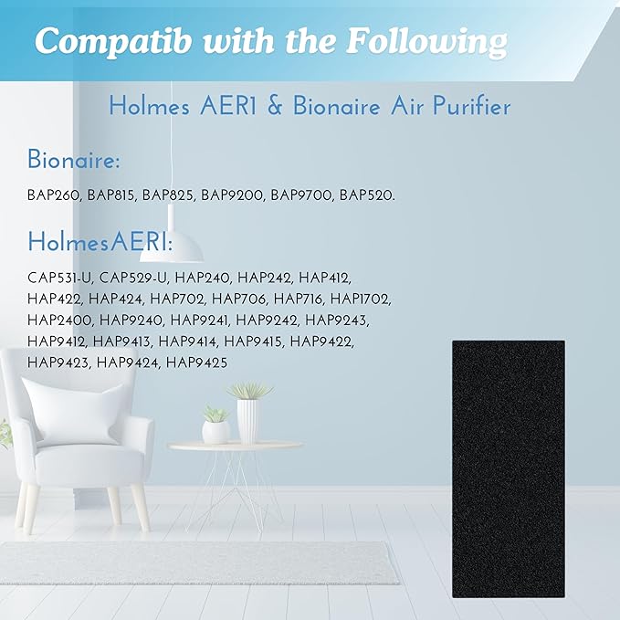Nispira AER1 Filter Replacement Carbon Booster for Holmes AER1 Air Purifier HAPF30AT HAP242-NUC Removes Odor Smoke VOVs 9.5 x 4 x 0.25 Inches Pack of 8