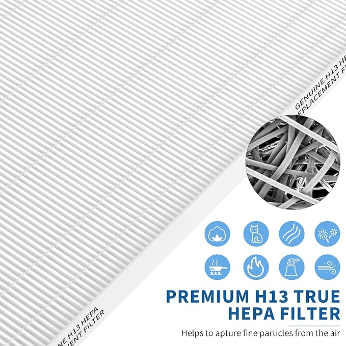 2 Packs Aeramax 300 HEPA Filter Replacement Compatible with Fellowes AeraMax 290 300 DX95 and HF-300 AP-300PH Air Cleaner Purifier, Part# 9287201, 2 Main Filters + 6 Activated Carbon Pre-filters