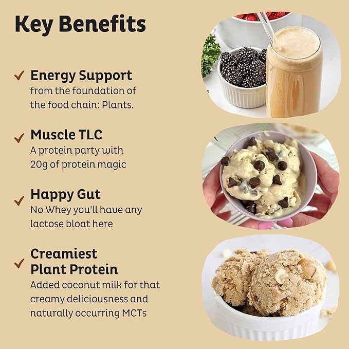 KOS Vegan Protein Powder Erythritol Free, Vanilla USDA Organic - Pea Protein Blend, Plant Based Superfood Rich in Vitamins & Minerals - Keto, Dairy Free - Meal Replacement for Women & Men, 28 Servings-FlexoryFit