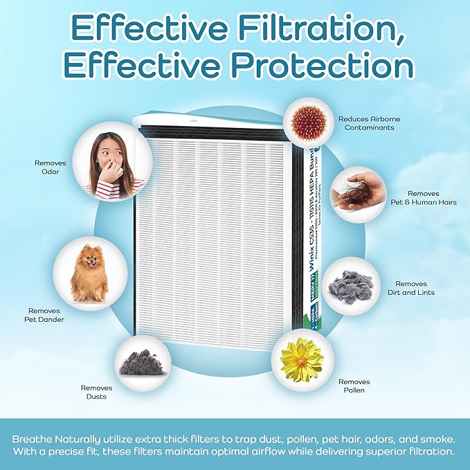 Breathe Naturally Replacement Filters Compatible with Winix C535, Plasmawave 5300, 6300 and Aeramax 300/290 Air Purifiers - HEPA Filters - Carbon Activated Filter (1 HEPA Filter + 4 Carbon Prefilters)
