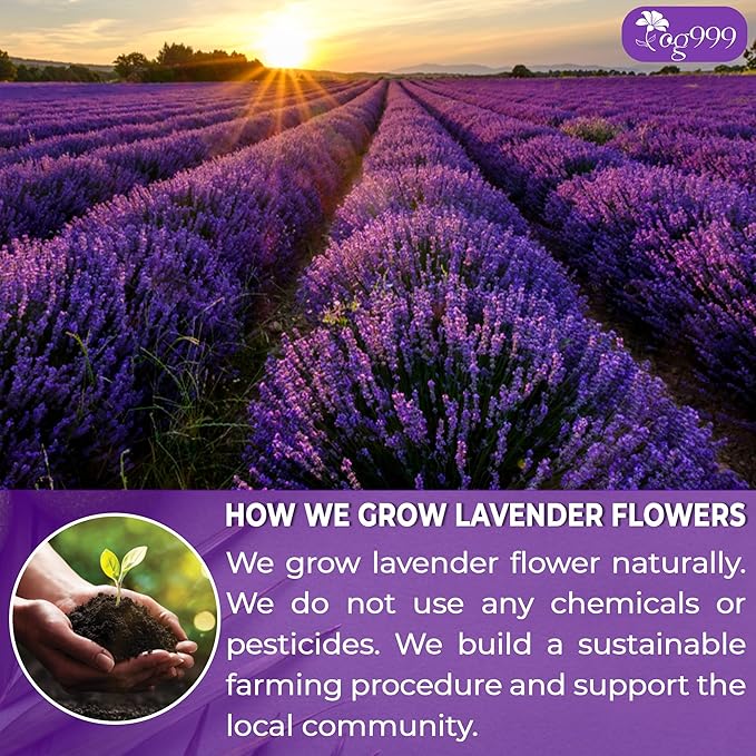 120 Lavender Flower Tea Bags, 100% Natural & Pure from Lavender Flowers. Loose Flower Lavender Herbal Tea. Lavender Flower Tea. No Sugar, No Caffeine, No Gluten, Vegan.-FlexoryFit
