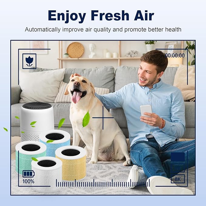 Core Mini Toxin Absorber Replacement Filter for LEVOIT Core Mini and Core Mini-P Air Purifier, 3-in-1 H13 Grade True HEPA and Activated Carbon, Core Mini-RF-TX, 4 Filter & 10 Fragrance Sponge, Green