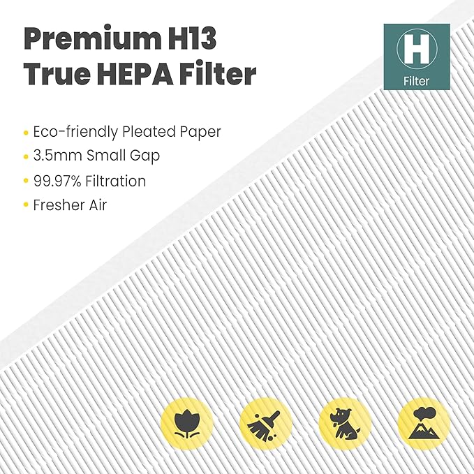 116130 Replacement Filter H for Winix 5500-2 AM80 Plasmawave Air Purifier, Includes 1 Pack True HEPA Filter and 1 Pack Activated Carbon Filter