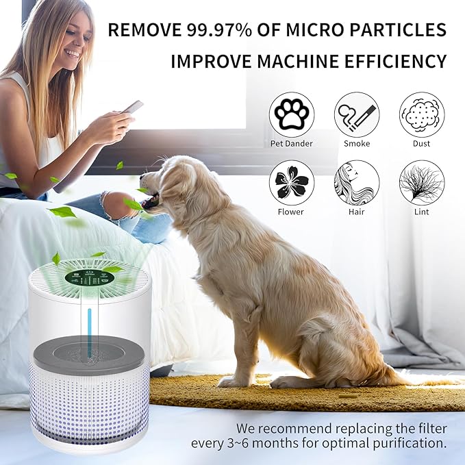 2 Pcs M01 Air Filter Replacement Compatible with MOOKA M01 Air Purifier, H13 True Hepa Filter, 3-in-1 Pre-Filter Activated Carbon Filter Filtration System