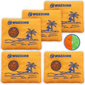 100gx5pcs Rechargeable Desiccant Packs for Storage, Reusable Dehumidifier Bags Visible Color Indicating Silica Gel Packets Moisture Absorbers for Safe Closet 3D Filaments Electronics Camera