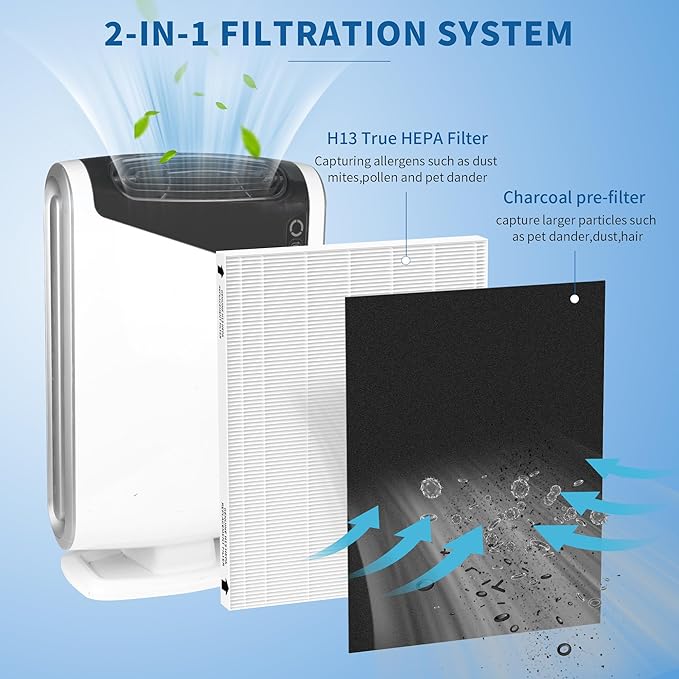 2 Packs Aeramax 300 HEPA Filter Replacement Compatible with Fellowes AeraMax 290 300 DX95 and HF-300 AP-300PH Air Cleaner Purifier, Part# 9287201, 2 Main Filters + 6 Activated Carbon Pre-filters