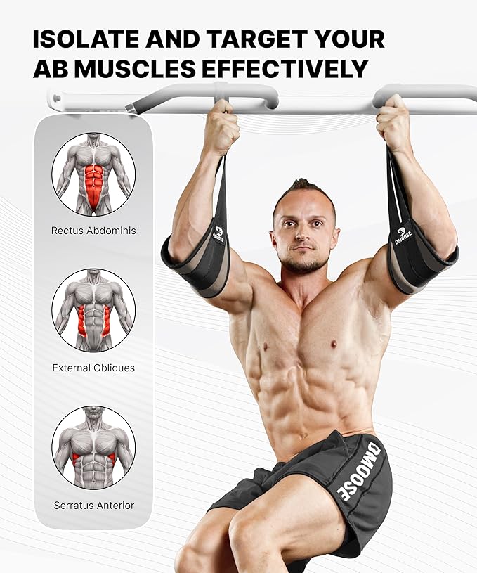 DMoose Fitness Hanging Ab Straps for Pull Up Bar & Core Strength Training - Soft Padded Exercise Straps for Ab Swing & Leg Raises, Hang Bar Strap with 2 Steel Carabiners - Abs Equipment for Home & Gym-FlexoryFit