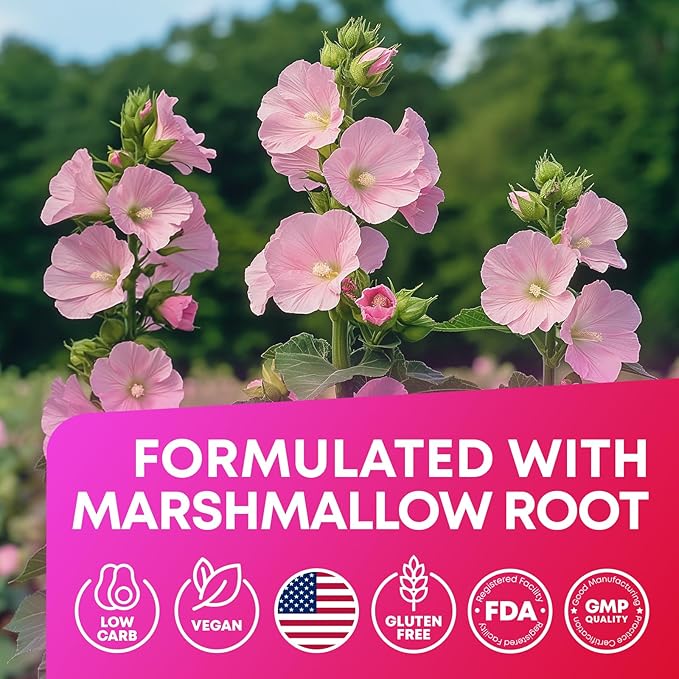 JOYLI Nutrition (2 Pack Advanced Keto ACV Gummies - Sugar Free Apple Cider Vinegar - Keto Supplements + Marshmallow Root - Alternative to Apple Cider Vinegar Capsules - 120 Gummies-FlexoryFit