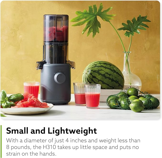Hurom H310A Personal Self Feeding Slow Masticating Juicer (Matte Black)-FlexoryFit