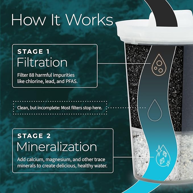 Santevia MINA Alkaline Water Filter Pitcher & Single Replacment Filter | Chlorine and Lead Filter | Water Purifier Pitcher | Home Water Filtration Pitcher | 9-Cup at Home Water Filter | Made in Canada