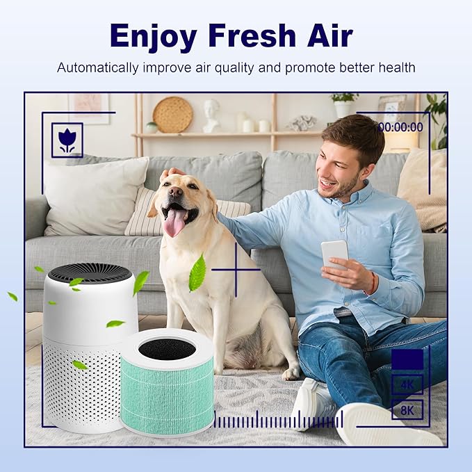 Core Mini Toxin Absorber Replacement Filter for LEVOIT Core Mini and Core Mini-P Air Purifier, 3-in-1 H13 Grade True HEPA and Activated Carbon, Core Mini-RF-TX, 6 Filter & 10 Fragrance Sponge, Green
