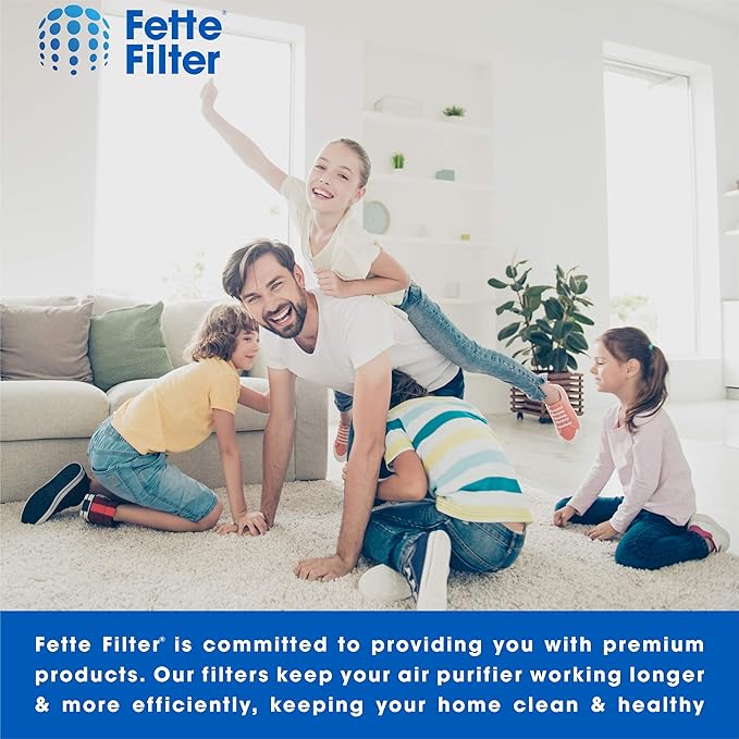 Fette Filter - Air Purifier Filter Compatible with Idylis Air Purifiers Type D. Compatible with IAF-H-100D, AC-2118, IAP-10-280, 1AP10280. Includes 1 HEPA Filter & 1Carbon Filter.