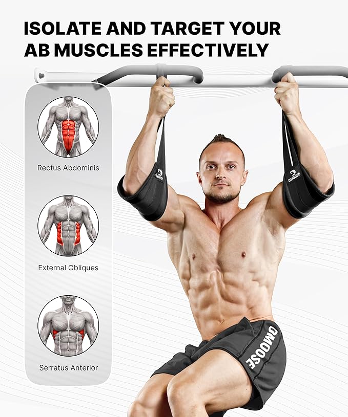 DMoose Fitness Hanging Ab Straps for Pull Up Bar & Core Strength Training - Soft Padded Exercise Straps for Ab Swing & Leg Raises, Hang Bar Strap with 2 Steel Carabiners - Abs Equipment for Home & Gym-FlexoryFit
