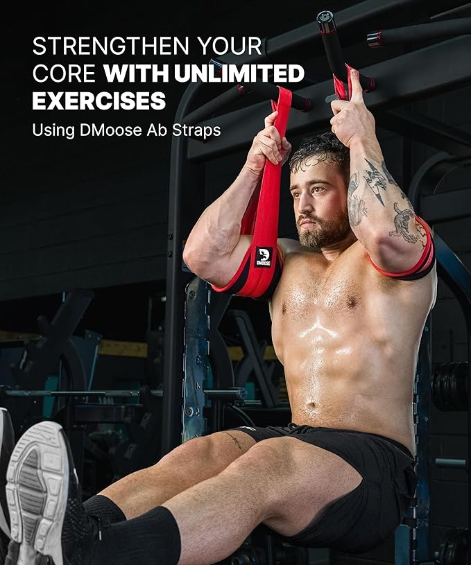 DMoose Fitness Hanging Ab Straps for Pull Up Bar & Core Strength Training - Soft Padded Exercise Straps for Ab Swing & Leg Raises, Hang Bar Strap with 2 Steel Carabiners - Abs Equipment for Home & Gym-FlexoryFit