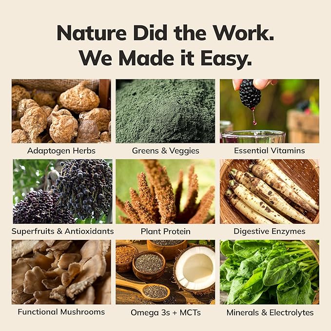 Ka’Chava Whole Body Meal Shake Vanilla 2 lb – Vegan Protein Powder with 85+ Superfoods & Greens – Plant-Based Meal Replacement with Probiotics & Digestive Enzymes – Gluten & Dairy Free (15 Servings)-FlexoryFit
