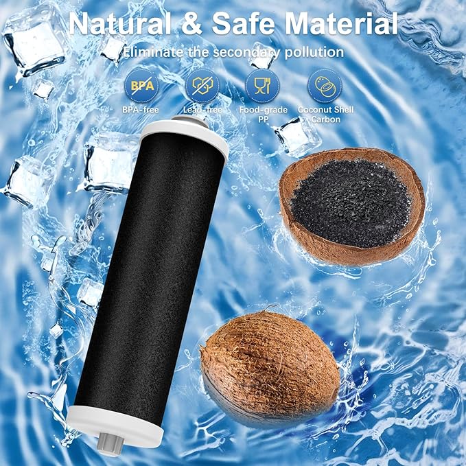 ICE2 F2WC9I1 Ice Filter F2WC911 (2 Pack)