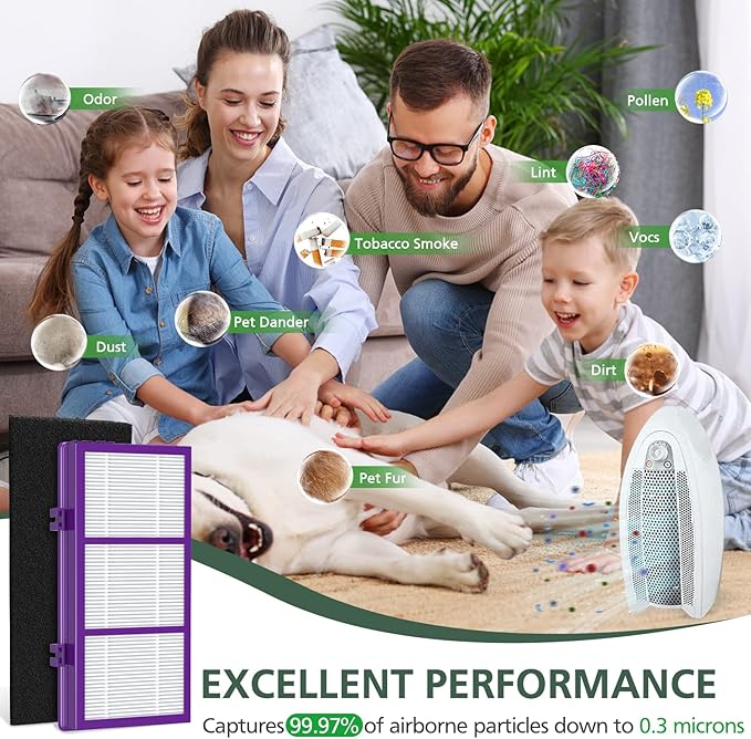 isinlive HAPF300AP Performance Plus Replacement Filter for Holmes AER1 HAPF300AP-U4 air Cleaner, 2 True HEPA+ 4 Carbon Pre Filters
