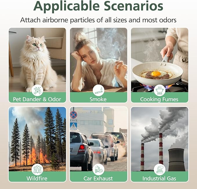 T356 Replacement Filter Compatible with Trucozie T356 Air Purifi-er, 3-IN-1 HEPA and High-Efficiency Activated Carbon Filter for Dust Pollen Pet Hair & Odors Smoke Wildfire, 2 Pack