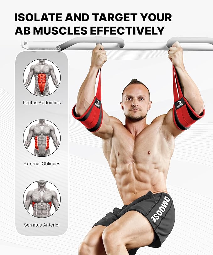DMoose Fitness Hanging Ab Straps for Pull Up Bar & Core Strength Training - Soft Padded Exercise Straps for Ab Swing & Leg Raises, Hang Bar Strap with 2 Steel Carabiners - Abs Equipment for Home & Gym-FlexoryFit