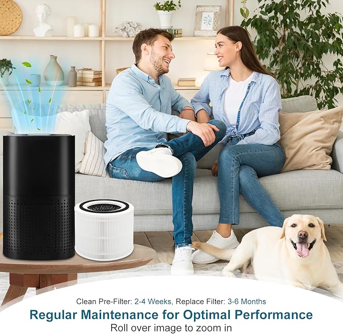 240 Replacement Filter Compatible with Puroair 240 Air Filter, 3-in-1 High Efficienoy Filten with Activated Carbon Filter for 99.97% Air Particles, Smoke and Odor, 2 Pack