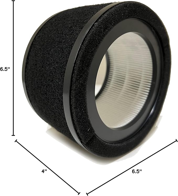 Nispira Replacement Filter L True HEPA + Activated Carbon Pre Filter Compatible with GermGuardian Air Purifier AC4200W FLT4200, 1 Pack