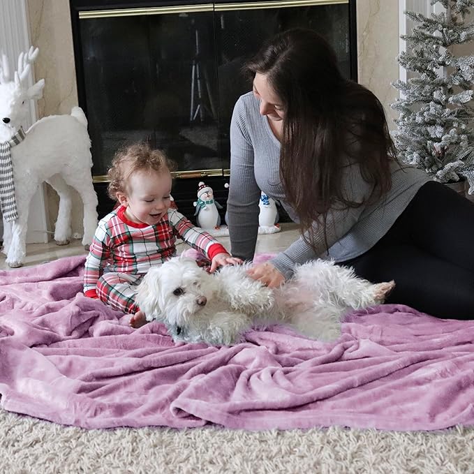 Bedsure Fleece Throw Blanket for Couch Lilac - Lightweight Plush Fuzzy Cozy Soft Blankets and Throws for Sofa, 50x60 inches