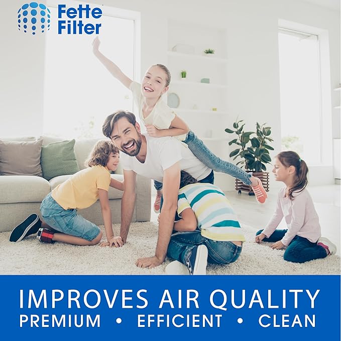 HAPF360 Type J Premium Filter Replacement Compatible with Holmes HAPF360 True HEPA 360 Purifier HAP360W and Bionaire True HEPA 360° UV Includes 2 True Hepa H13 filter replacements.
