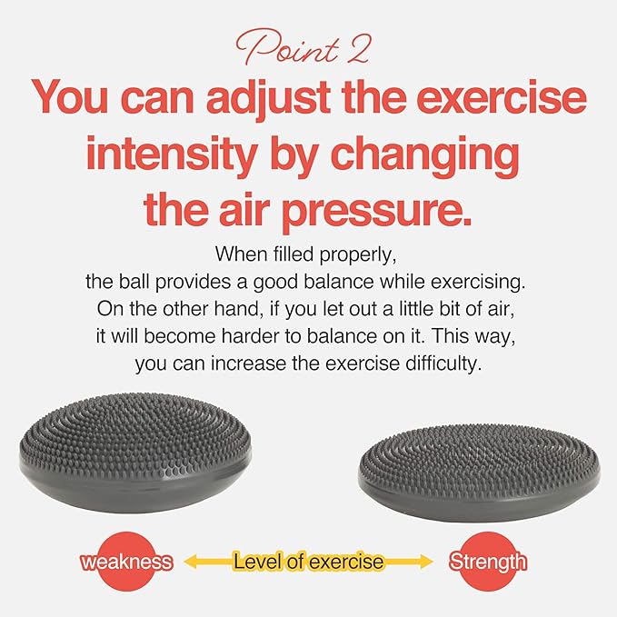 Primasole Balance disc 1 PC Comes with an air Pump Exercise Disk for Stability Workout-FlexoryFit