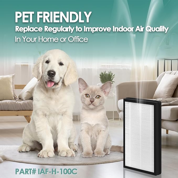 Idylis Air Purifier Replacement Filter C for Filtrete and Idylis IAP-10-200 IAP10200 [C+C] IAP-10-280 IAP10280 [C+D] Air Purifier with Idylis Air Filters IAF-H-100C, 2 HEPA & 2 Extra Carbon Pre-filter