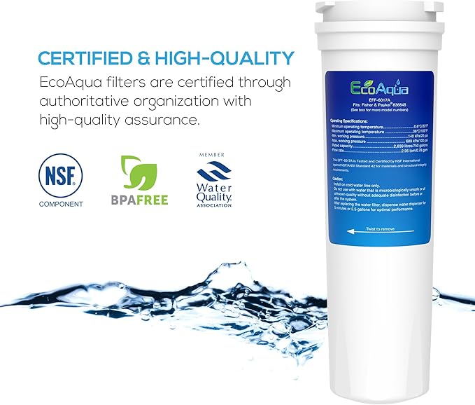 EcoAqua EFF-6017A Replacement for Fisher&Paykel 836848, 2-Pack
