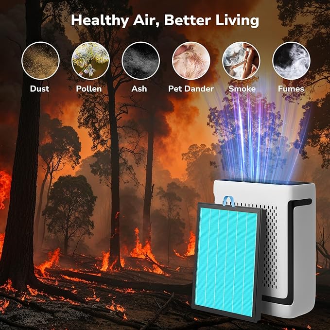 Fil-fresh Vital 100S Smoke Remover Replacement Filter, Compatible with LEVOIT Vital 100S Air Purifier, 3-in-1 H13 True HEPA & Activated Carbon, Replace Vital 100S-RF-SR, Blue, 2-Pack
